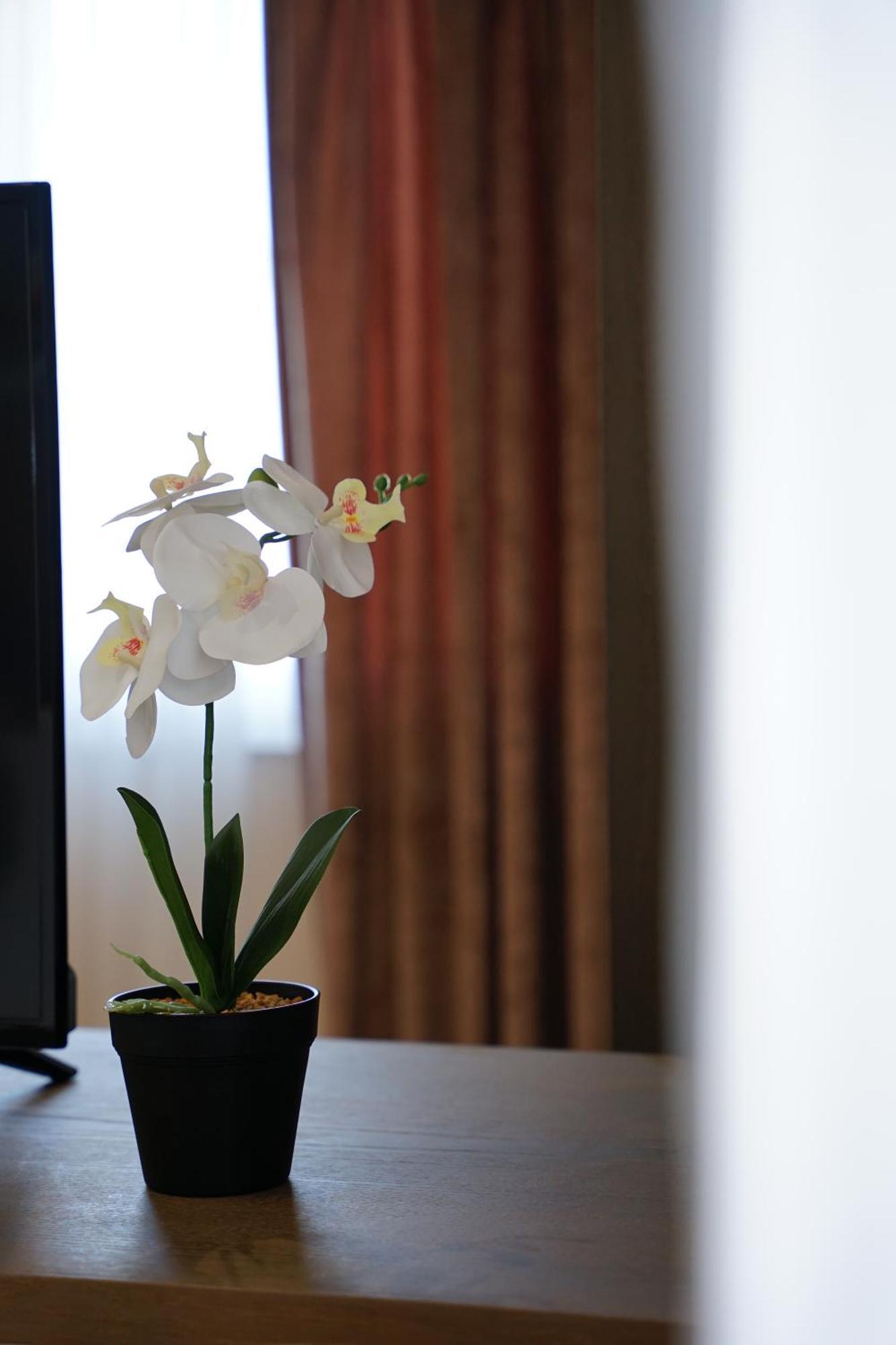 Doanesia Premium Hotel & Spa Тирана Екстериор снимка